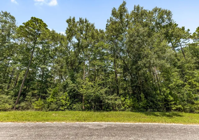 Photo 3 of Land for sale at Lot 2&3 Remington Rd, Huntsville, TX 77340 | MLS# 88062519 | Listing updated on 2026-08-10