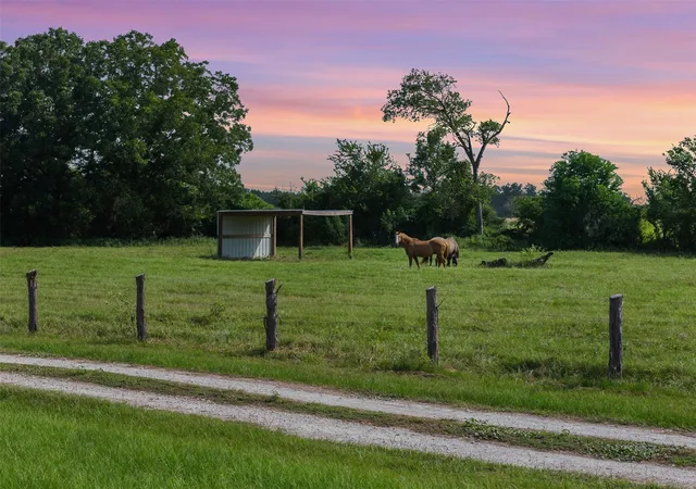 image of 11043 County Road 336, Caldwell, TX 77836 | MLS# 28200104