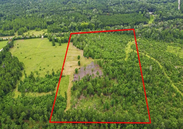 Photo 3 of Land for sale at 9983 US Hwy 287 E, Chester, TX 75936 | MLS# 24272301 | Listing updated on 2026-08-10