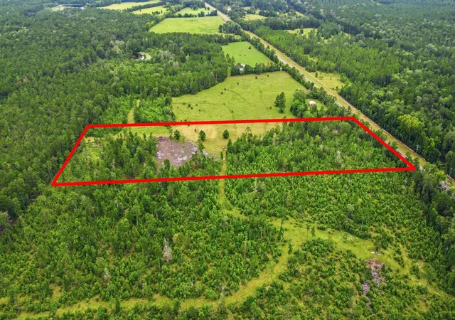 Photo 4 of Land for sale at 9983 US Hwy 287 E, Chester, TX 75936 | MLS# 24272301 | Listing updated on 2026-08-10