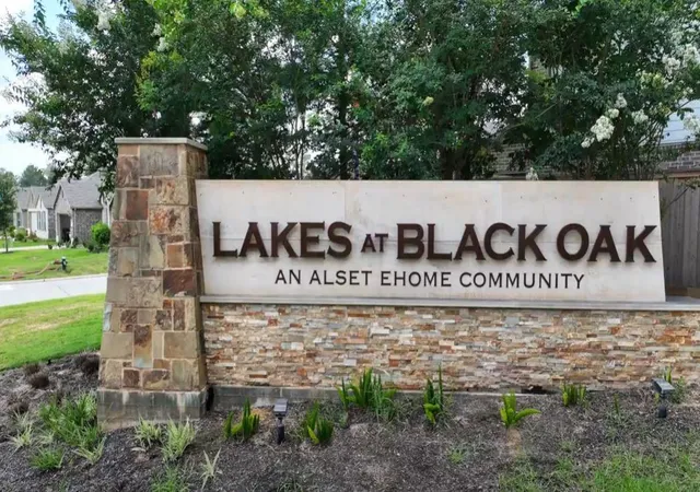 4th image of 283 Brazen Forest Trl, Magnolia, TX 77354 | MLS# 47898858