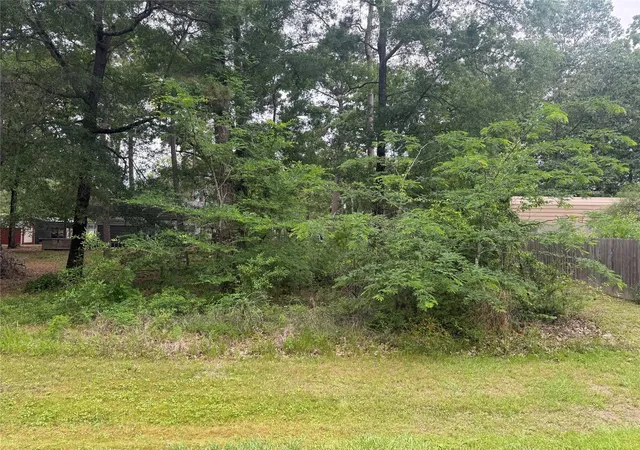 1st image of 125 Trinidad Ln, Pointblank, TX 77364 | MLS# 52460476