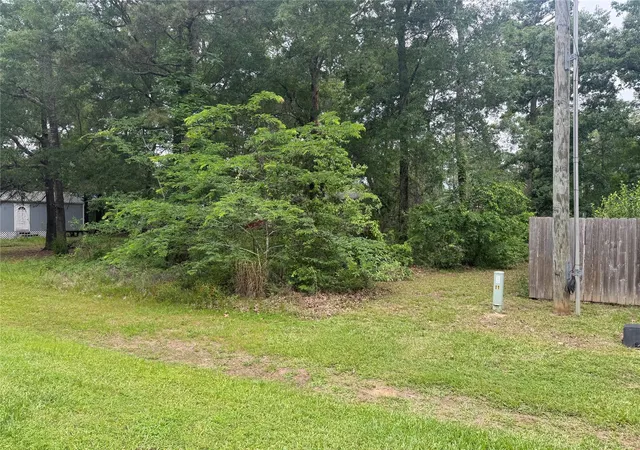 2nd image of 125 Trinidad Ln, Pointblank, TX 77364 | MLS# 52460476