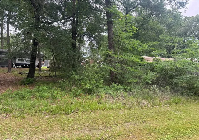 5th image of 125 Trinidad Ln, Pointblank, TX 77364 | MLS# 52460476