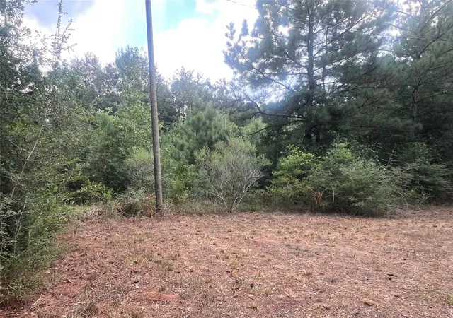 Photo 3 of Land for sale at 7926 E Fm 942, Livingston, TX 77351 | MLS# 5759032 | Listing updated on 2026-08-30