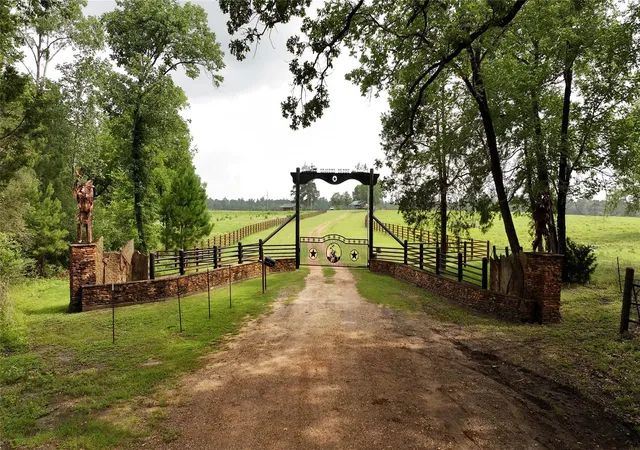 3rd image of 44 Bucking Bull Rd, New Waverly, TX 77358 | MLS# 2942478
