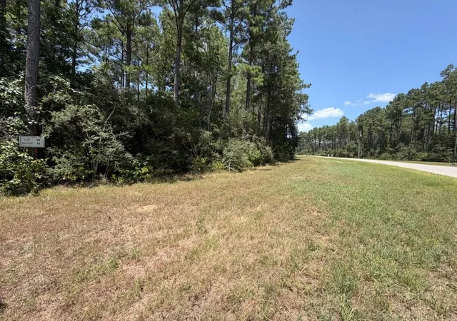 Photo 1 of Land for sale at Lot 54 Grey Feather Rd, Huntsville, TX 77340 | MLS# 66084600 | Listing updated on 2026-08-25