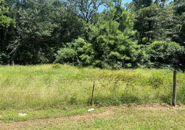 23rd image of 31018 Green Tree Rd, Magnolia, TX 77354 | MLS# 3591180