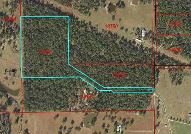 Photo 18 of Land for sale at 12a Mills Ln, Richards, TX 77873 | MLS# 61331014 | Listing updated on 2026-08-26