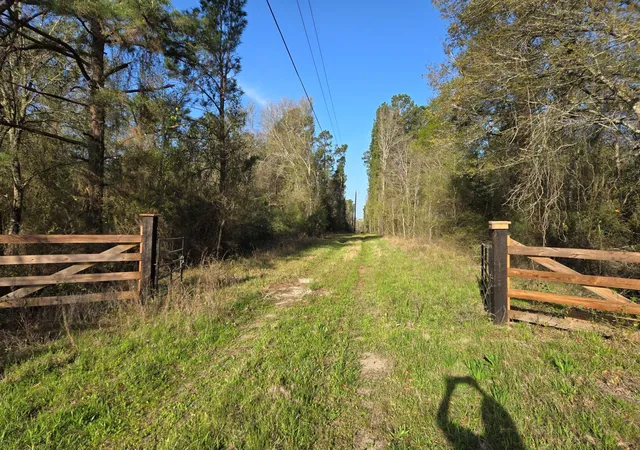 Land for sale at 12a Mills Ln, Richards, TX 77873 | MLS# 61331014