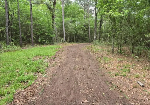 Photo 1 of Land for sale at 12a Mills Ln, Richards, TX 77873 | MLS# 61331014 | Listing updated on 2026-08-26
