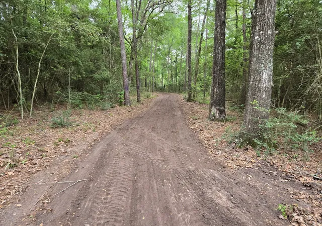 Photo 3 of Land for sale at 12a Mills Ln, Richards, TX 77873 | MLS# 61331014 | Listing updated on 2026-08-26