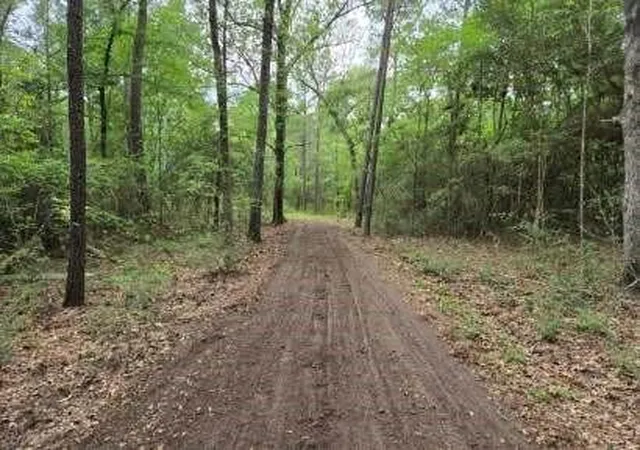 Photo 4 of Land for sale at 12a Mills Ln, Richards, TX 77873 | MLS# 61331014 | Listing updated on 2026-08-26