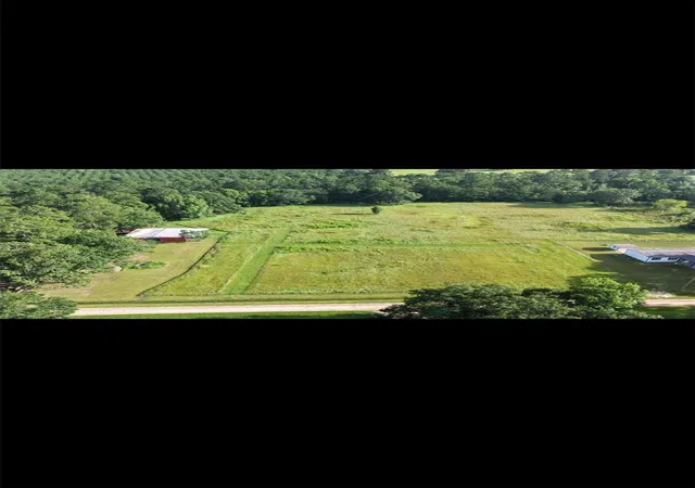 Photo 3 of Land for sale at 00 Cr 2198, Cleveland, TX 77327 | MLS# 89529189 | Listing updated on 2026-10-23