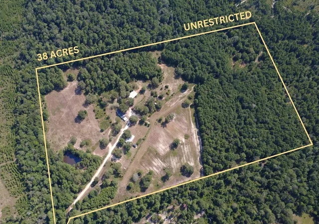 Photo 1 of Land for sale at 281 Mcgehee Rd, Willis, TX 77378 | MLS# 12262530 | Listing updated on 2026-08-30