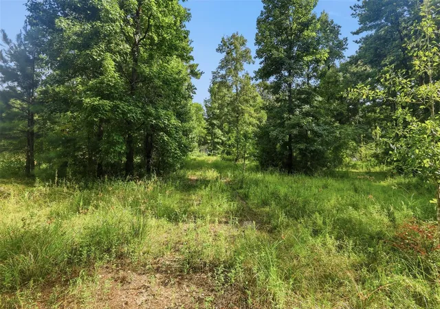 1st image of 31577 Bohlssen Rd, New Caney, TX 77357 | MLS# 73208020