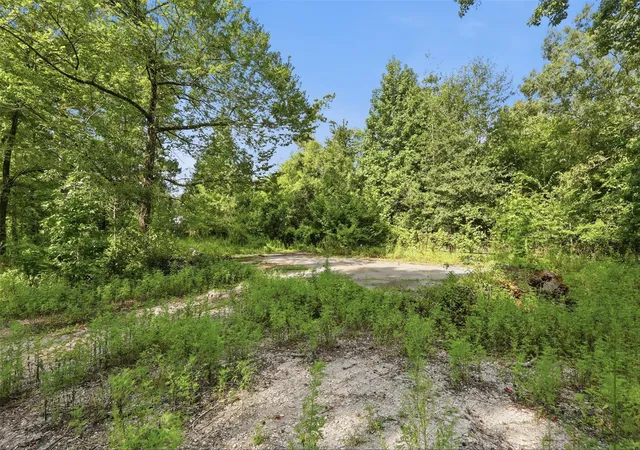 4th image of 31577 Bohlssen Rd, New Caney, TX 77357 | MLS# 73208020