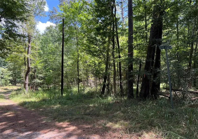 Land for sale at 415 Rio Vista Dr, Livingston, TX 77352 | MLS# 94098095