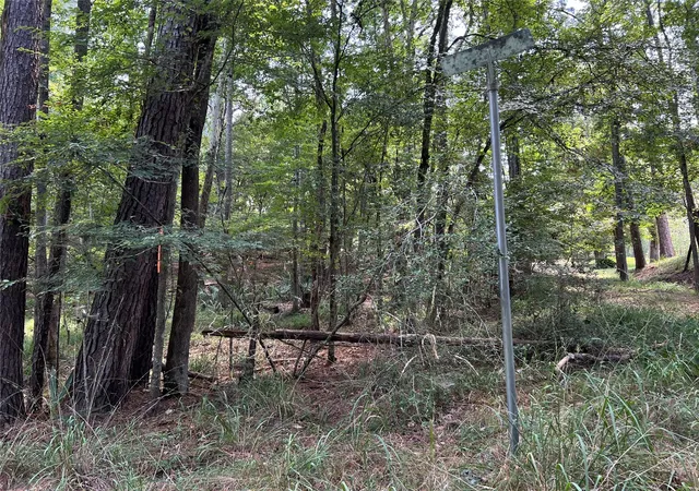 Photo 2 of Land for sale at 415 Rio Vista Dr, Livingston, TX 77352 | MLS# 94098095 | Listing updated on 2026-08-17