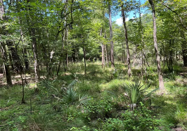Photo 4 of Land for sale at 415 Rio Vista Dr, Livingston, TX 77352 | MLS# 94098095 | Listing updated on 2026-08-17