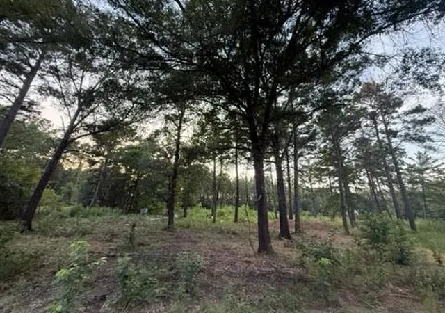 Photo 2 of Sale Pending at 120 Pioneer Trl, Livingston, TX 77351 | MLS# 35305183 | Listing updated on 2026-09-22