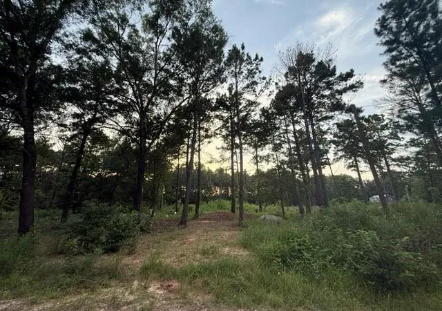 Photo 3 of Sale Pending at 120 Pioneer Trl, Livingston, TX 77351 | MLS# 35305183 | Listing updated on 2026-09-22