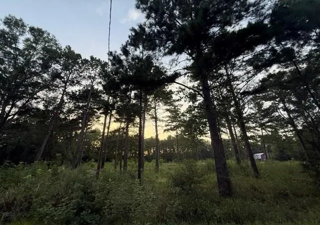 Photo 3 of Sale Pending at 120 Pioneer Trl, Livingston, TX 77351 | MLS# 35305183 | Listing updated on 2026-09-22