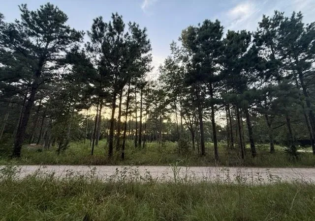 Photo 4 of Sale Pending at 120 Pioneer Trl, Livingston, TX 77351 | MLS# 35305183 | Listing updated on 2026-09-22