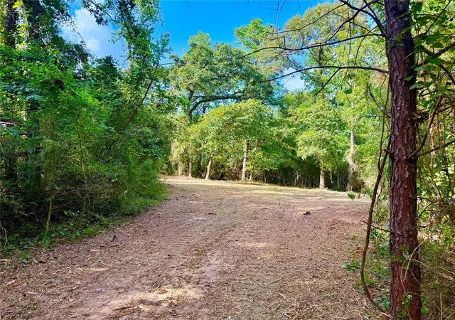1st image of 40718 Friartuck Dr, Montgomery, TX 77316 | MLS# 7632566