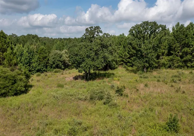3rd image of 0 Vineyard View Trl, Grapeland, TX 75844 | MLS# 15033860