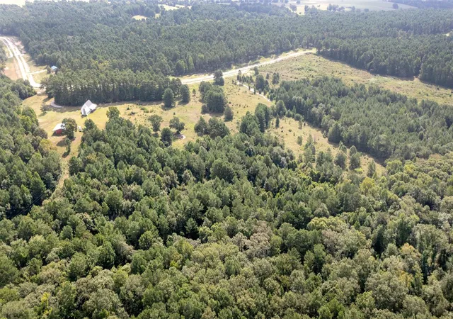 8th image of 0 Vineyard View Trl, Grapeland, TX 75844 | MLS# 15033860