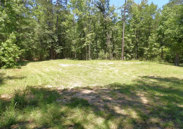 3rd image of 345 Cr 1080, Kennard, TX 75847 | MLS# 86516796