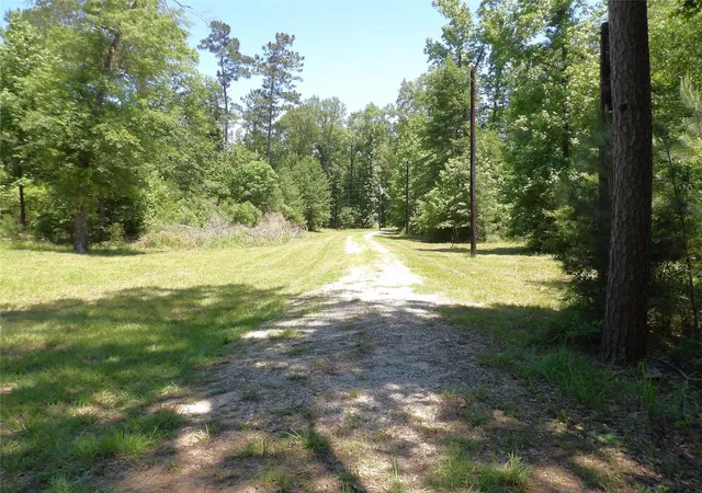 4th image of 345 Cr 1080, Kennard, TX 75847 | MLS# 86516796