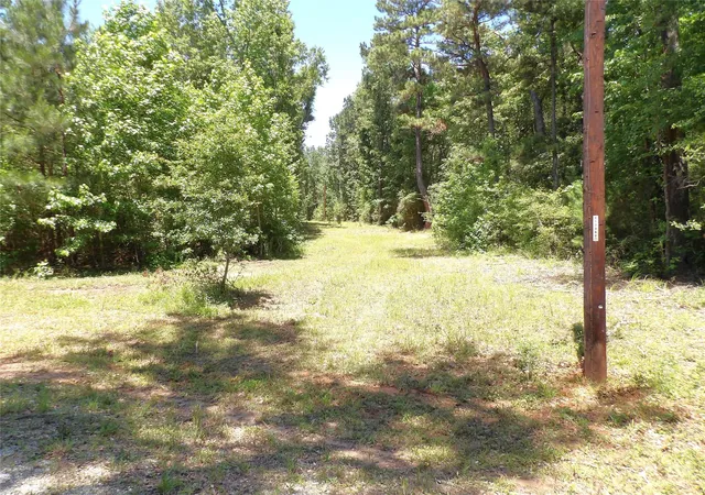 5th image of 345 Cr 1080, Kennard, TX 75847 | MLS# 86516796
