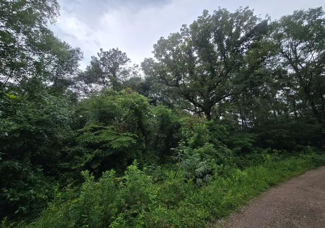Photo 4 of Land for sale at 134 Road 3774, Cleveland, TX 77327 | MLS# 55049346 | Listing updated on 2026-08-12