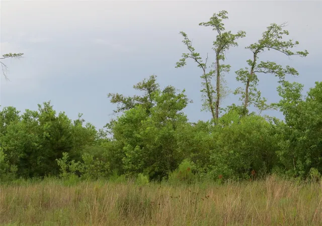 Photo 3 of Land for sale at 545 Road 5704, Cleveland, TX 77327 | MLS# 69906894 | Listing updated on 2026-08-11