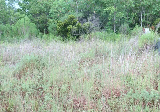 Photo 4 of Land for sale at 545 Road 5704, Cleveland, TX 77327 | MLS# 69906894 | Listing updated on 2026-08-11