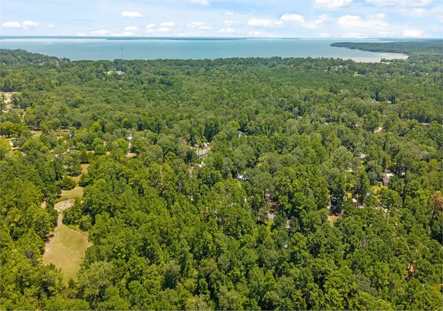 3rd image of 350 Oak Tree Dr, Pointblank, TX 77364 | MLS# 32217309