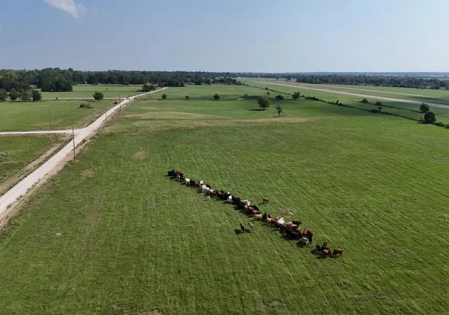 5th image of P2L13 County Road 463, Mexia, TX 76667 | MLS# 77614636