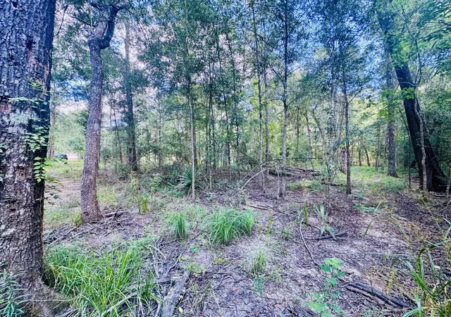12th image of 702 County Road 2339, Dayton, TX 77535 | MLS# 22271150