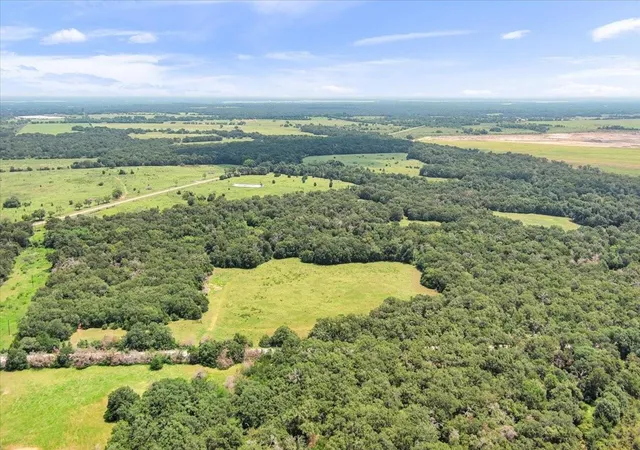 Photo 4 of Land for sale at 00 Lcr 732, Thornton, TX 76687 | MLS# 88683129 | Listing updated on 2026-08-30