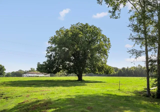 Photo 2 of Land for sale at 18121 Highway 105 E, Plantersville, TX 77363 | MLS# 96460939 | Listing updated on 2026-08-17