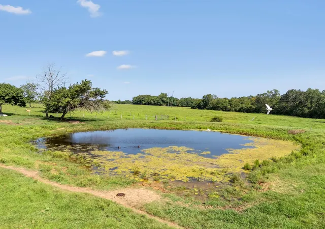 Photo 3 of Land for sale at 18121 Highway 105 E, Plantersville, TX 77363 | MLS# 96460939 | Listing updated on 2026-08-17