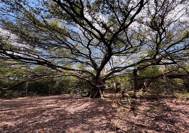 Photo 1 of Land for sale at 4400 Klekar Gin, Flatonia, TX 78941 | MLS# 66603216 | Listing updated on 2026-08-25