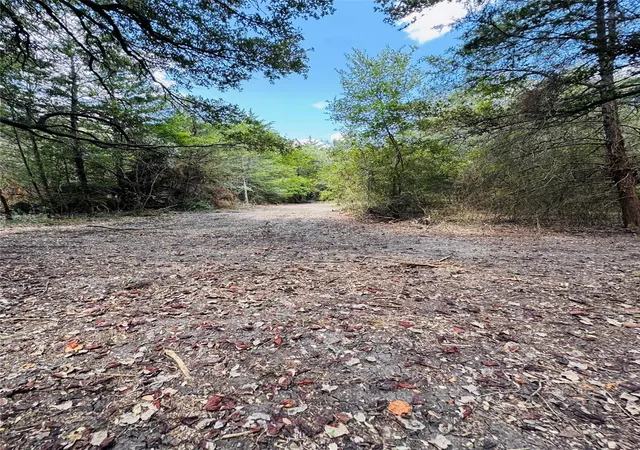 Photo 2 of Land for sale at 4400 Klekar Gin, Flatonia, TX 78941 | MLS# 66603216 | Listing updated on 2026-08-25