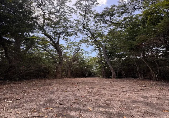 Photo 4 of Land for sale at 4400 Klekar Gin, Flatonia, TX 78941 | MLS# 66603216 | Listing updated on 2026-08-25