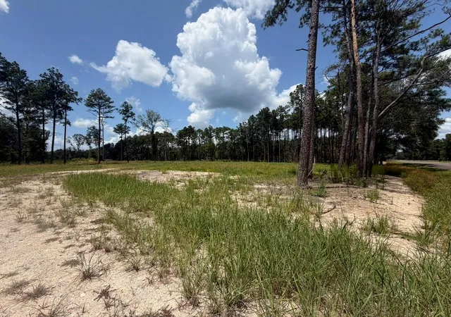 29th image of 9870 Hwy 326, Kountze, TX 77625 | MLS# 78363662