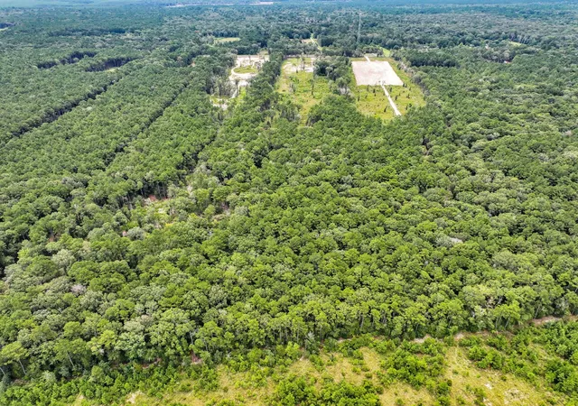Photo 4 of Land for sale at 9870 Highway 326, Kountze, TX 77625 | MLS# 78363662 | Listing updated on 2026-08-17