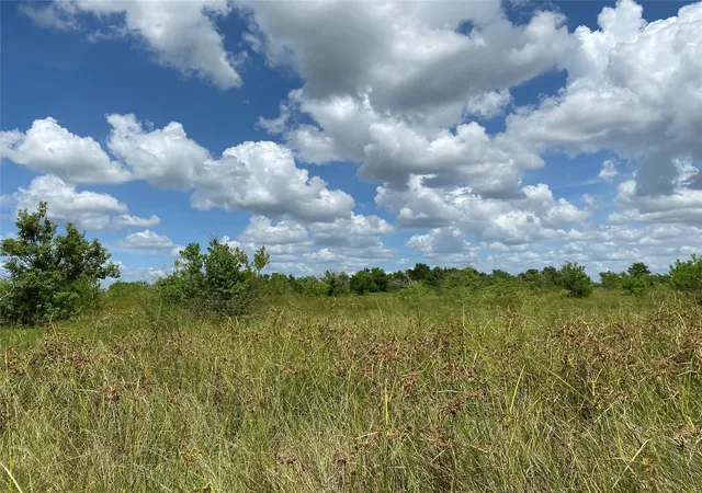 Photo 3 of Sale Pending at Tract 1 Kveton Rd, Cat Spring, TX 78933 | MLS# 62039192 | Listing updated on 2026-09-10