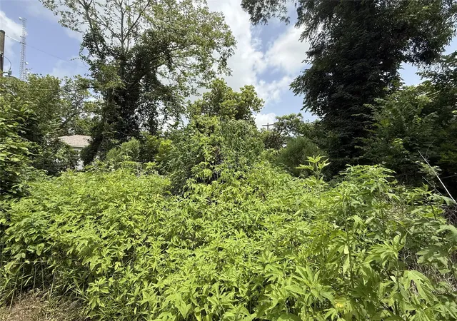 5th image of 6806 E Bayou Dr, Hitchcock, TX 77563 | MLS# 6348722
